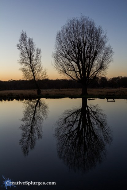 1/320, f/4, ISO 250, 24mm