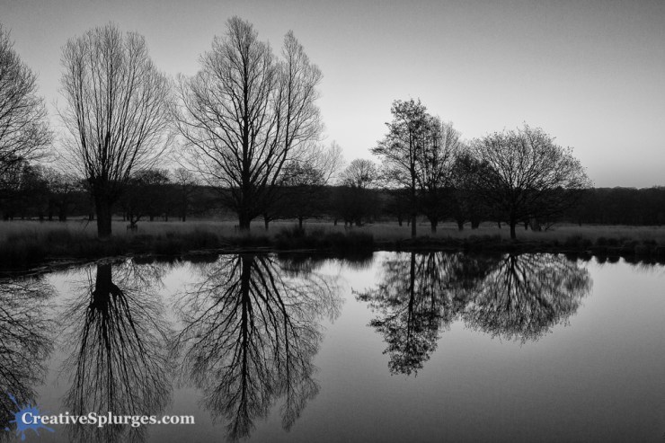 1/500, f/4, ISO 250, 24mm