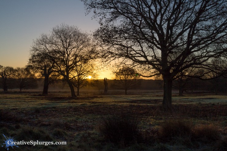 1/640, f/8, ISO 250, 24mm