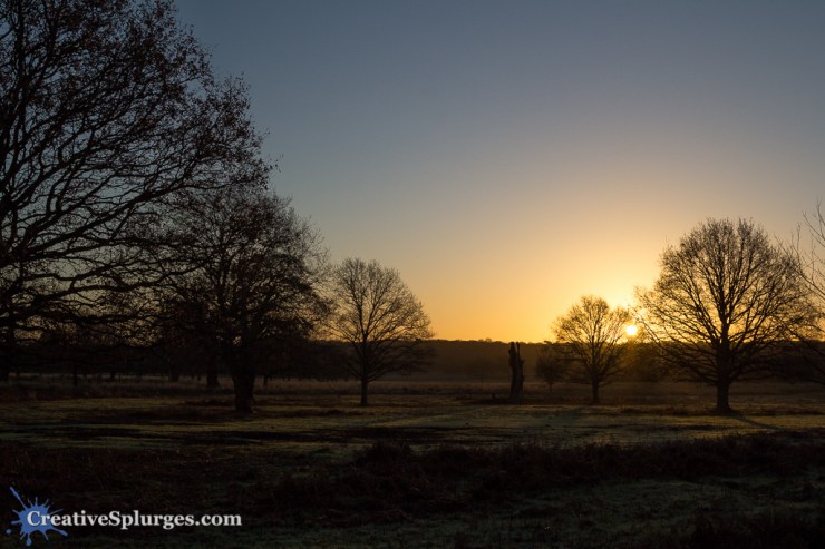 1/800, f/8, ISO 250, 24mm