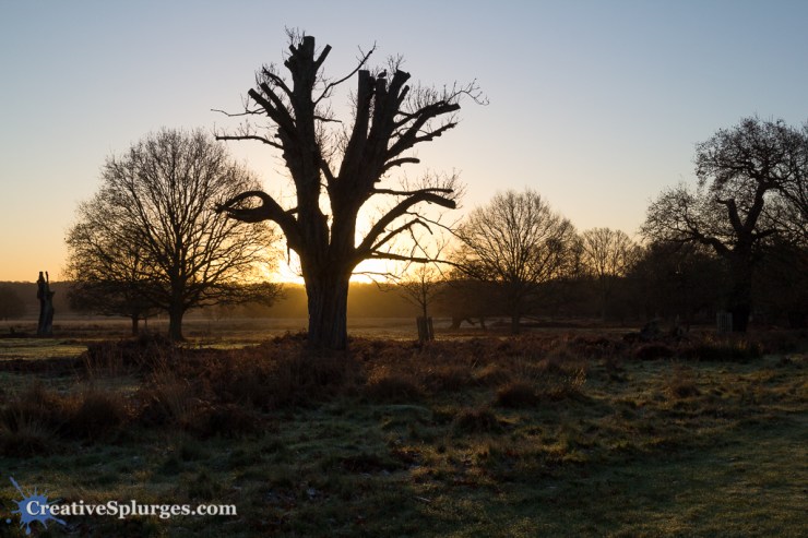1/320, f/8, ISO 250, 24mm