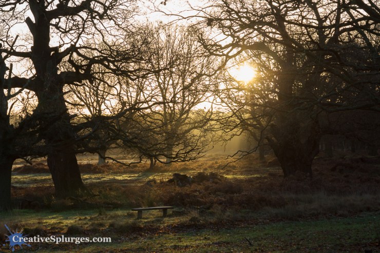 1/200, f/5.6, ISO 250, 60mm