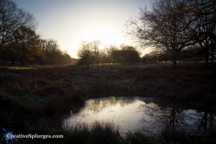 1/800, f/8, ISO 250, 24mm