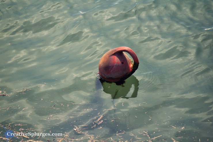 1/800, f/4, ISO 100, 95mm