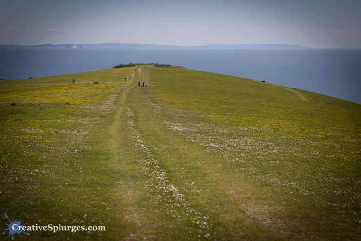 1/1250, f/4, ISO 100, 55mm