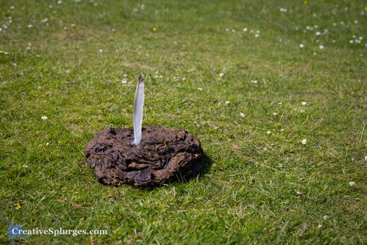 1/800, f/4, ISO 100, 47mm