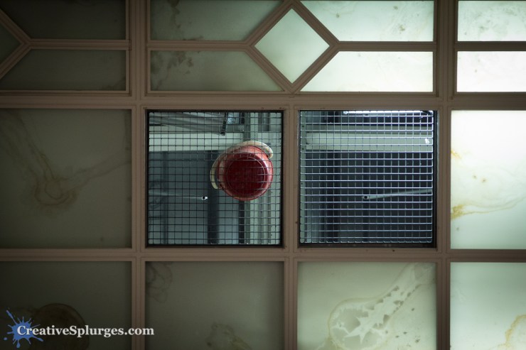 1/50, f/4, ISO 1000, 105mm