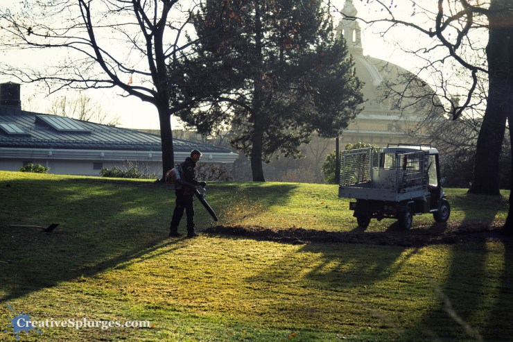 1/400, f/4, ISO 100, 73mm