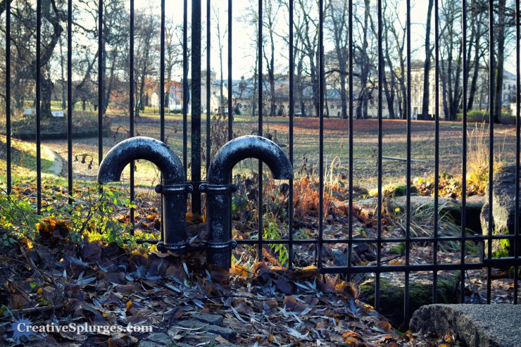 1/50, f/4, ISO 100, 24mm