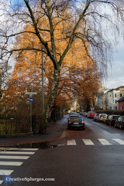 1/125, f/4, ISO 100, 24mm