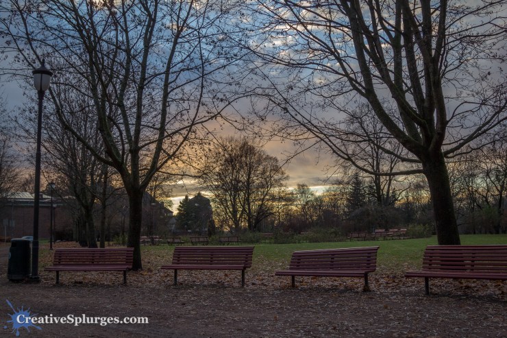 1/250, f/4, ISO 200, 24mm