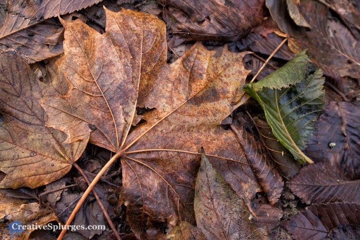 1/25, f/4, ISO 640, 24mm