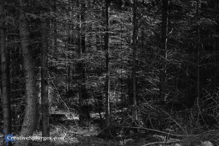 1/30sec, f/4, ISO 100, 40mm