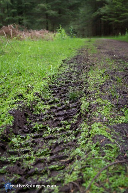 1/50sec, f/4, ISO 100, 28mm