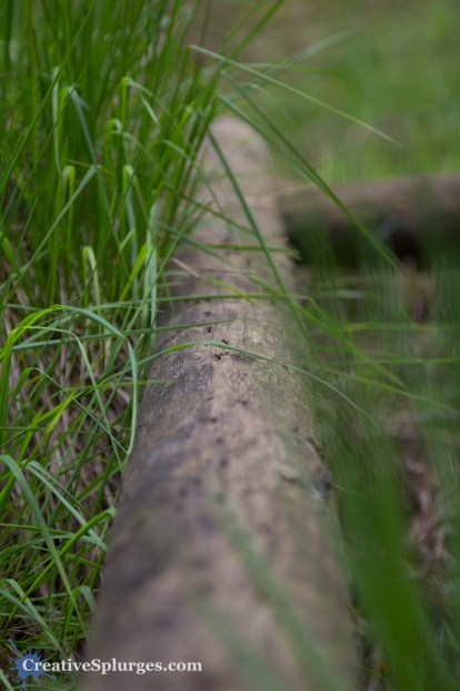 1/60sec, f/4, ISO 100, 105mm