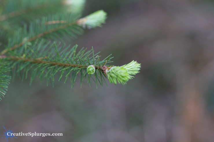 1/400sec, f/2.8, ISO 640, 100mm