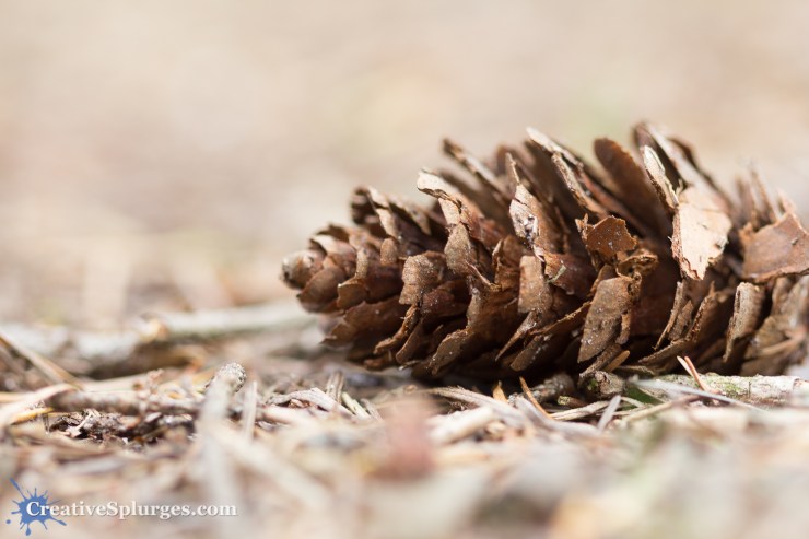 1/25sec, f/2.8, ISO 100, 100mm