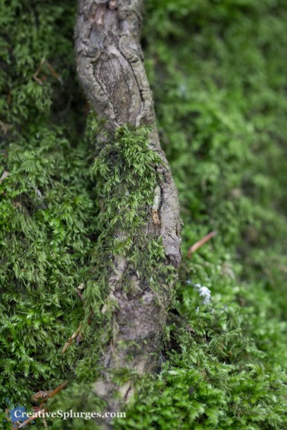 1/80sec, f/2.8, ISO 500, 100mm