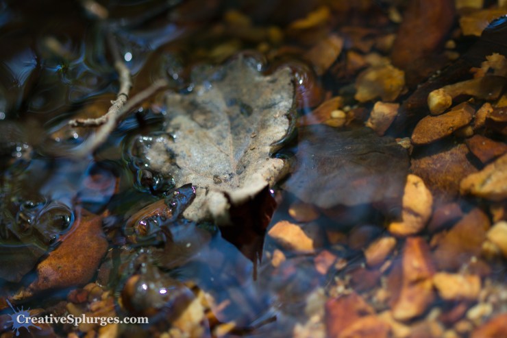 1/60sec, f/2.8, ISO 100, 100mm