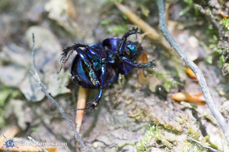 1/100sec, f/2.8, ISO 1000, 100mm