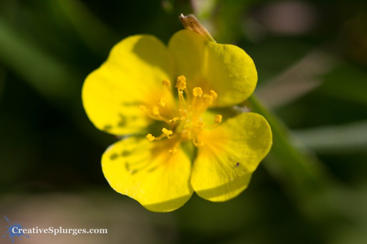 1/640sec, f/2.8, ISO 100, 100mm